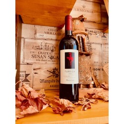 TURRIGA Isola dei nuraghi IGT