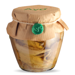 FUNGHI CONDITI SOTTOLIO